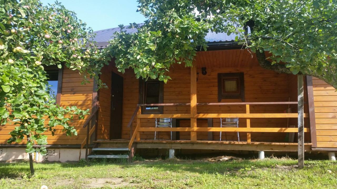 Vasarnamis Zarasuose Villa Zarasai Exteriör bild