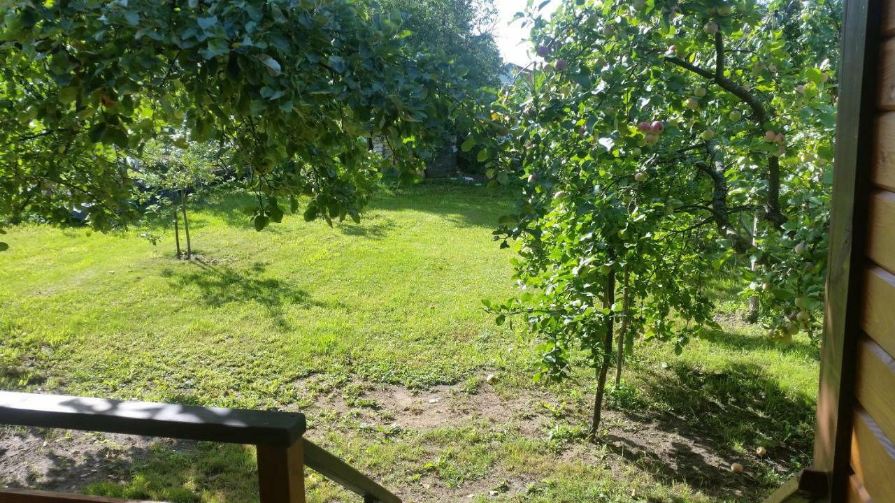 Vasarnamis Zarasuose Villa Zarasai Exteriör bild